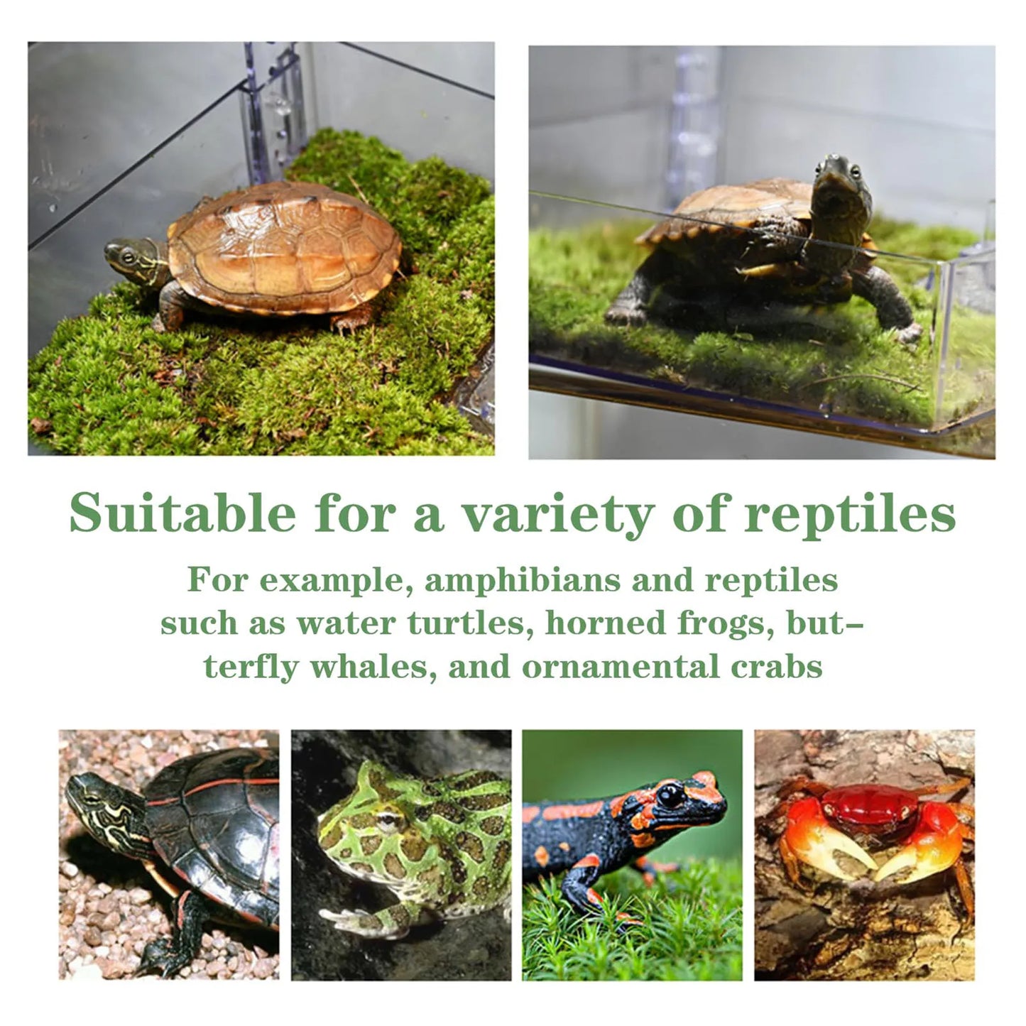 Floating Turtle Basking Platform, Transparent Perforated Climbing Platform with Wide Hook for Aquatic Turtles