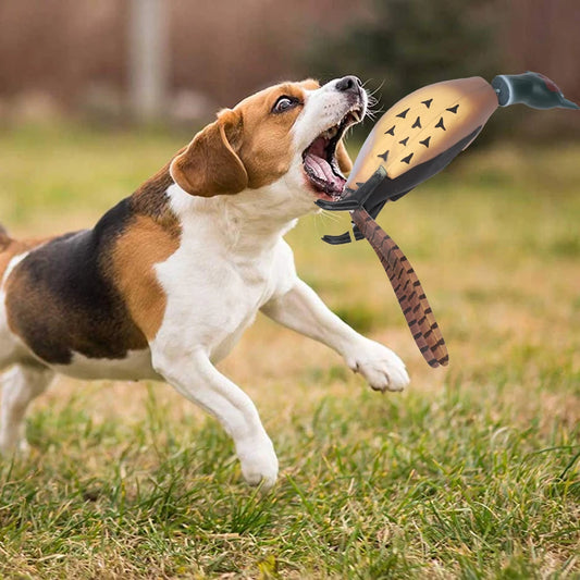 Pheasant Dummy Bumper Toy for Hunting Retriever Dogs