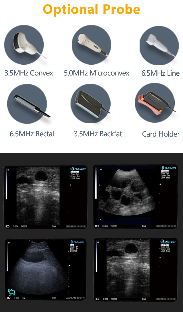 Handheld Vet Ultrasound Machine for Small Pet Dogs and Cats