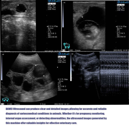 Handheld Vet Ultrasound Machine for Small Pet Dogs and Cats