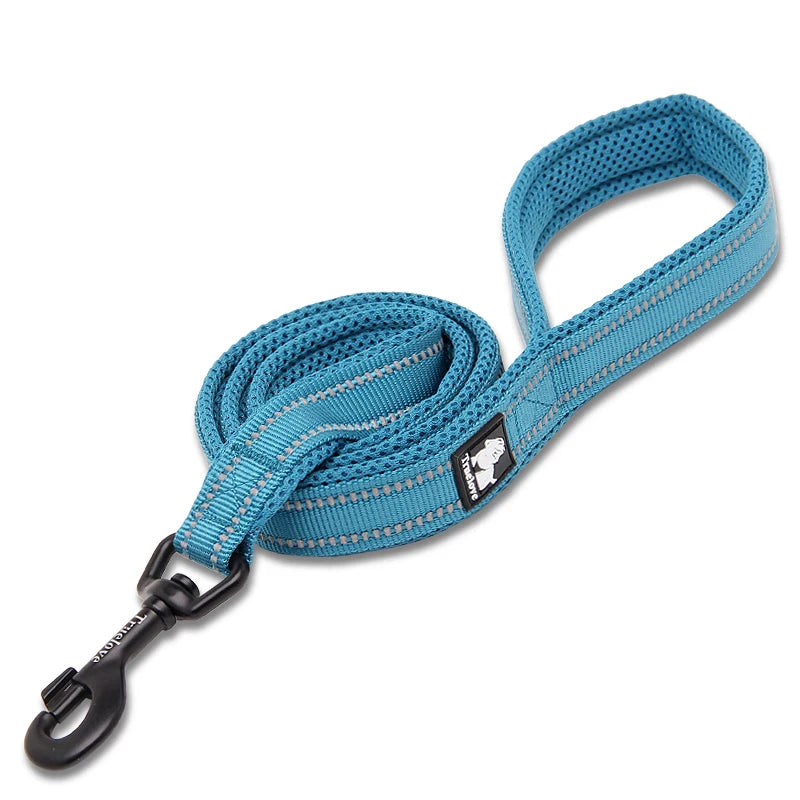 Dog Leash with Padded Handle Training