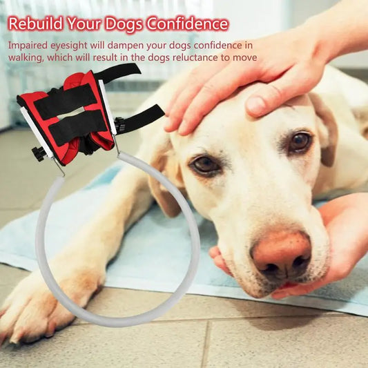 Blind Dog Anti-collision Collar, Protective Vest, Blind Dog Guiding Harness, Training Behavior