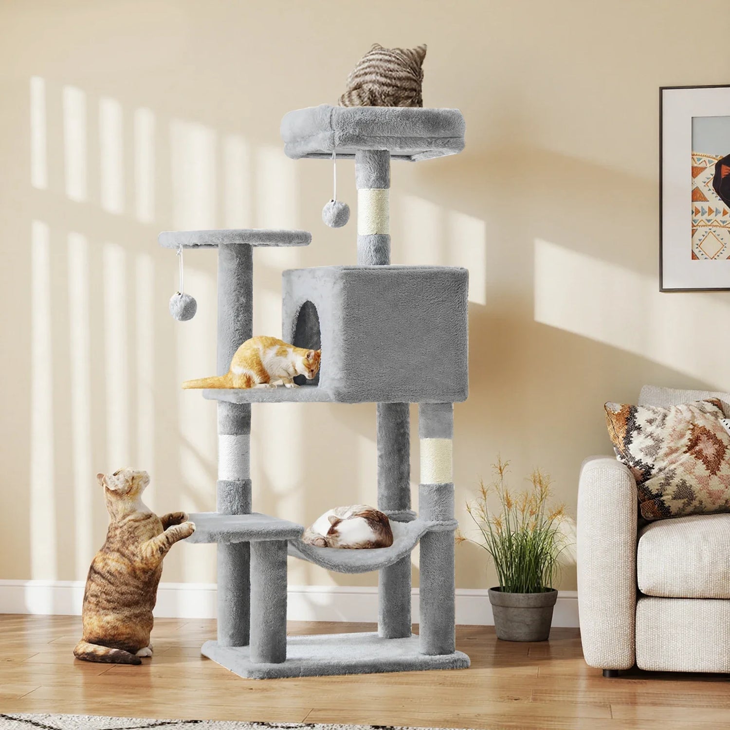 Cat Supplies