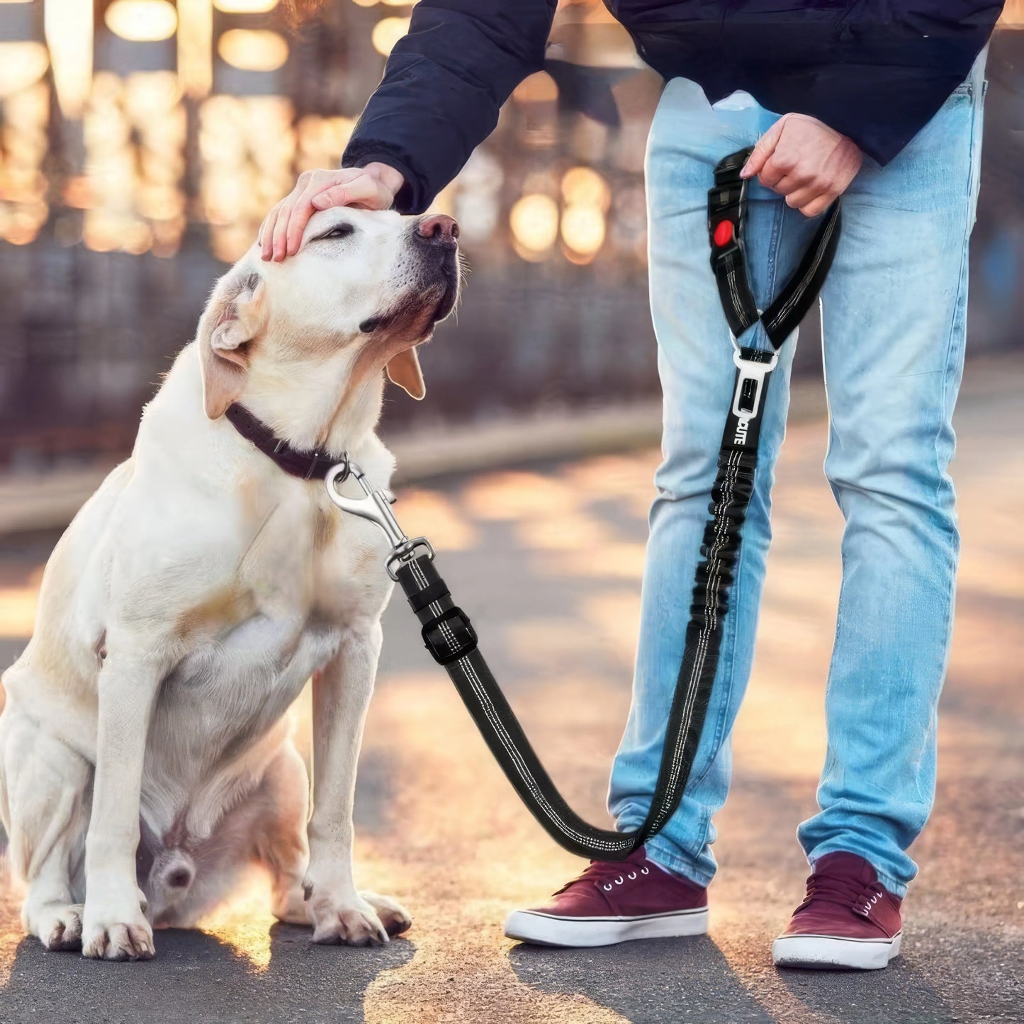 Pet Car Safety Rope