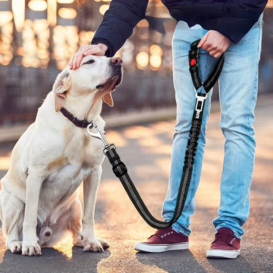 Pet Car Safety Rope