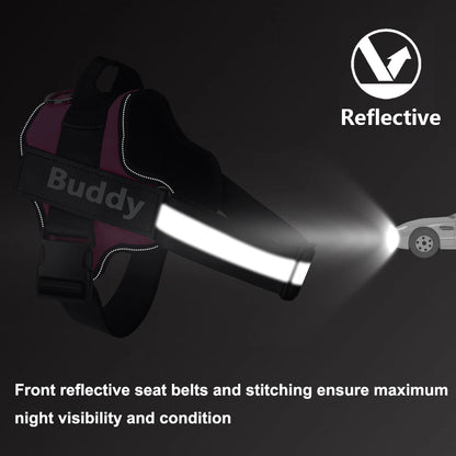 Personalized Dog Harness, NO PULL, Reflective, Breathable, Outdoor Walk Training Accessories