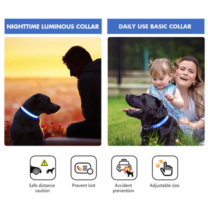 Dog Luminous Collar , Waterpoof Safety