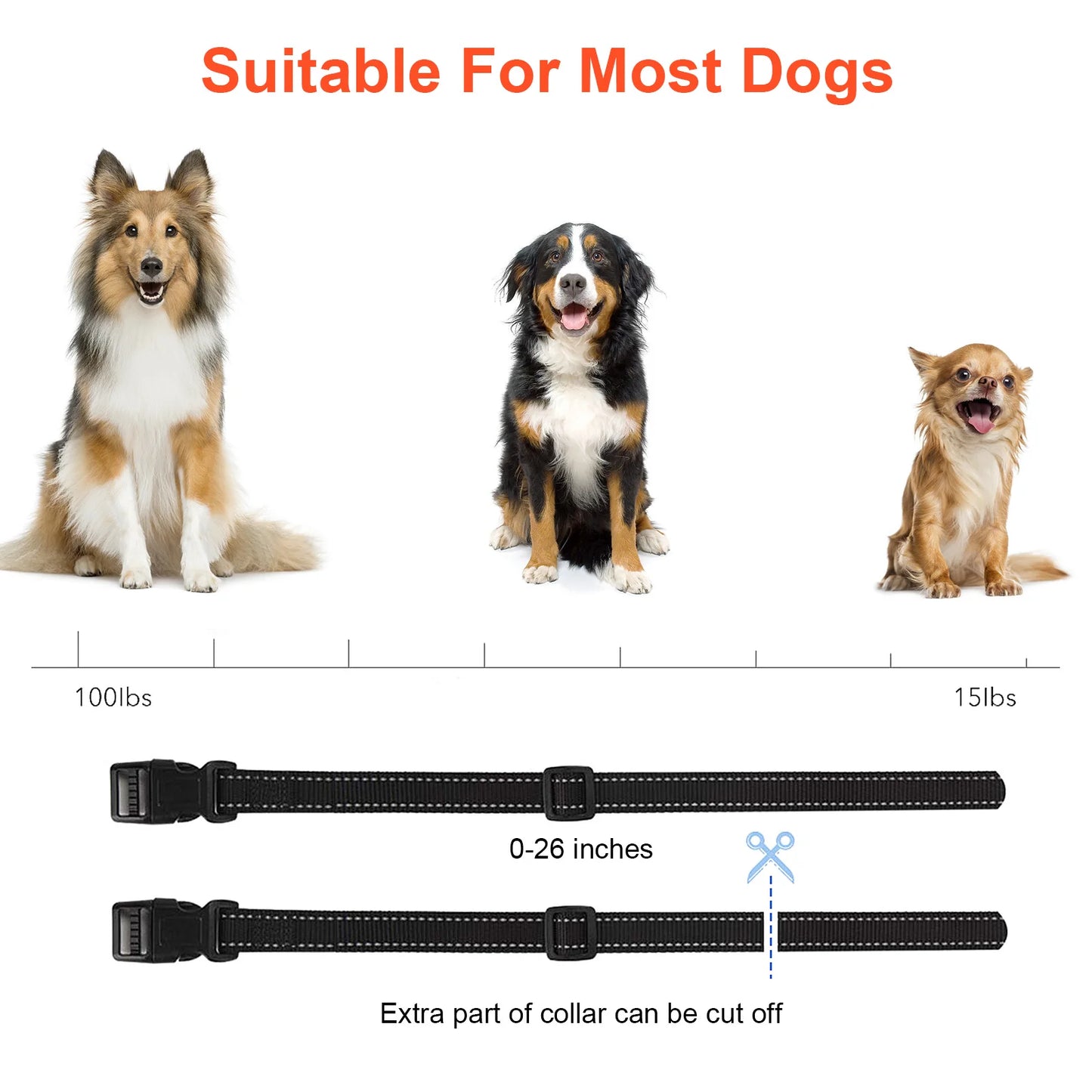 Dog Electric  Training Collar