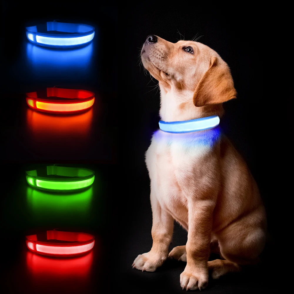 Dog Luminous Collar , Waterpoof Safety