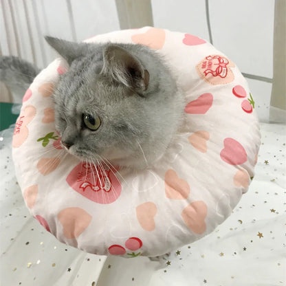 Cat and Dog Health Collar