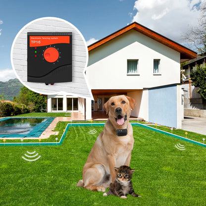 Dog Electric  Training Collar
