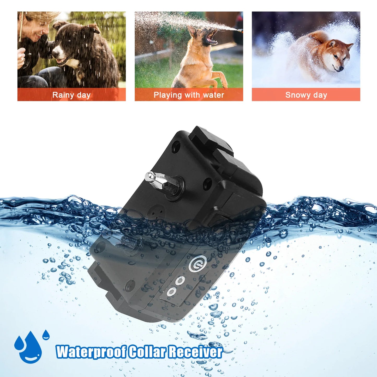 Dog Electric  Training Collar