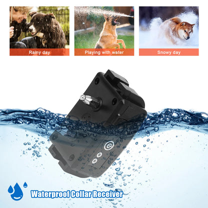 Dog Electric  Training Collar