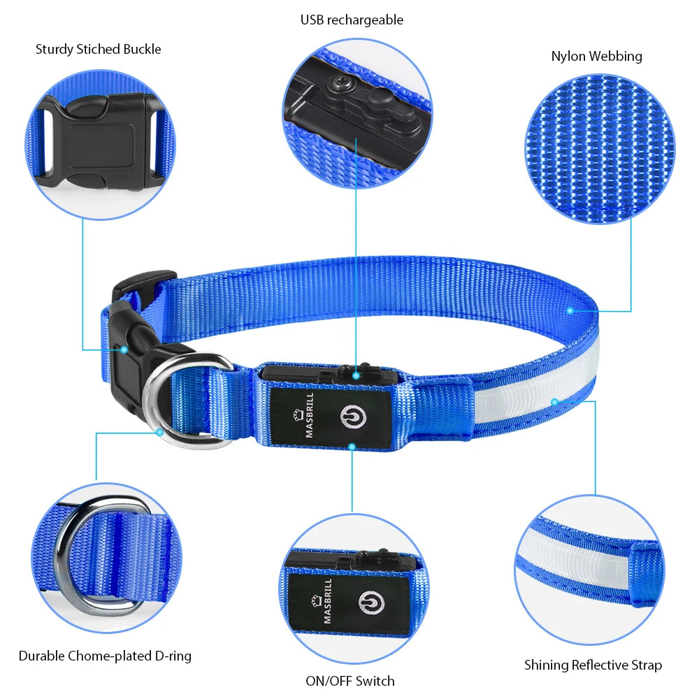 Dog Luminous Collar , Waterpoof Safety