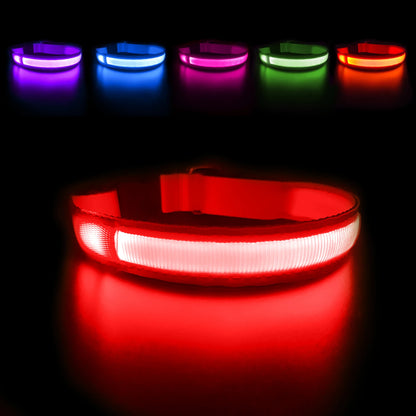 Dog Luminous Collar , Waterpoof Safety