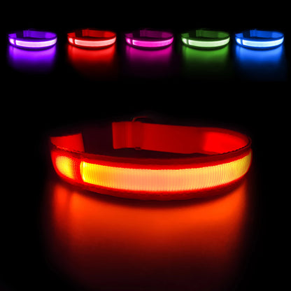 Dog Luminous Collar , Waterpoof Safety