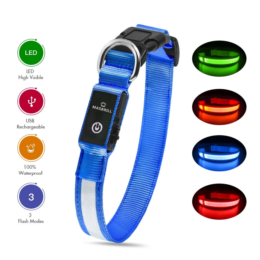 Dog Luminous Collar , Waterpoof Safety