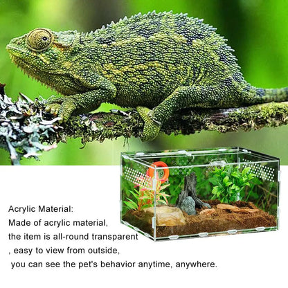 New Acrylic Terrarium, Spider Breeding Box, Reptile Feeding Box For Climbing Pet Terrarium Snake , Spider, Lizard, Scorpion, Centipede