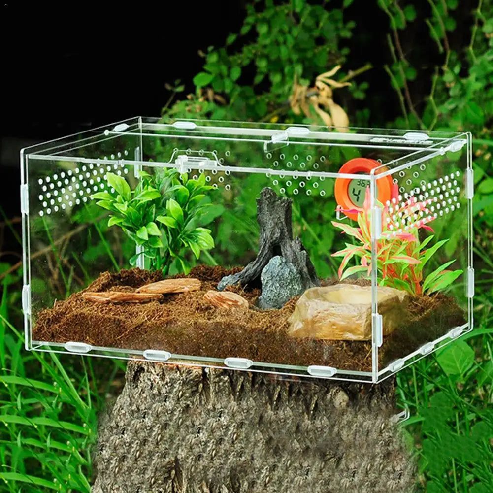 New Acrylic Terrarium, Spider Breeding Box, Reptile Feeding Box For Climbing Pet Terrarium Snake , Spider, Lizard, Scorpion, Centipede