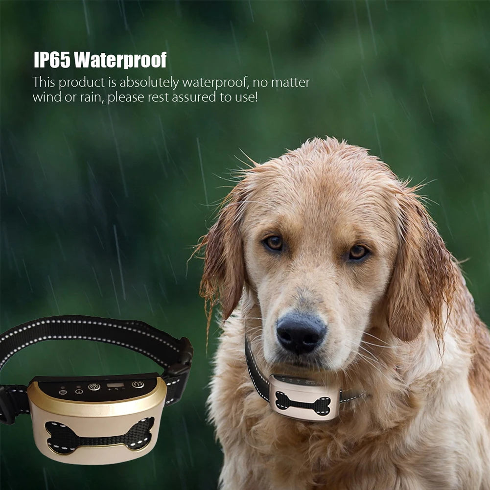 Dog Anti Bark Guard