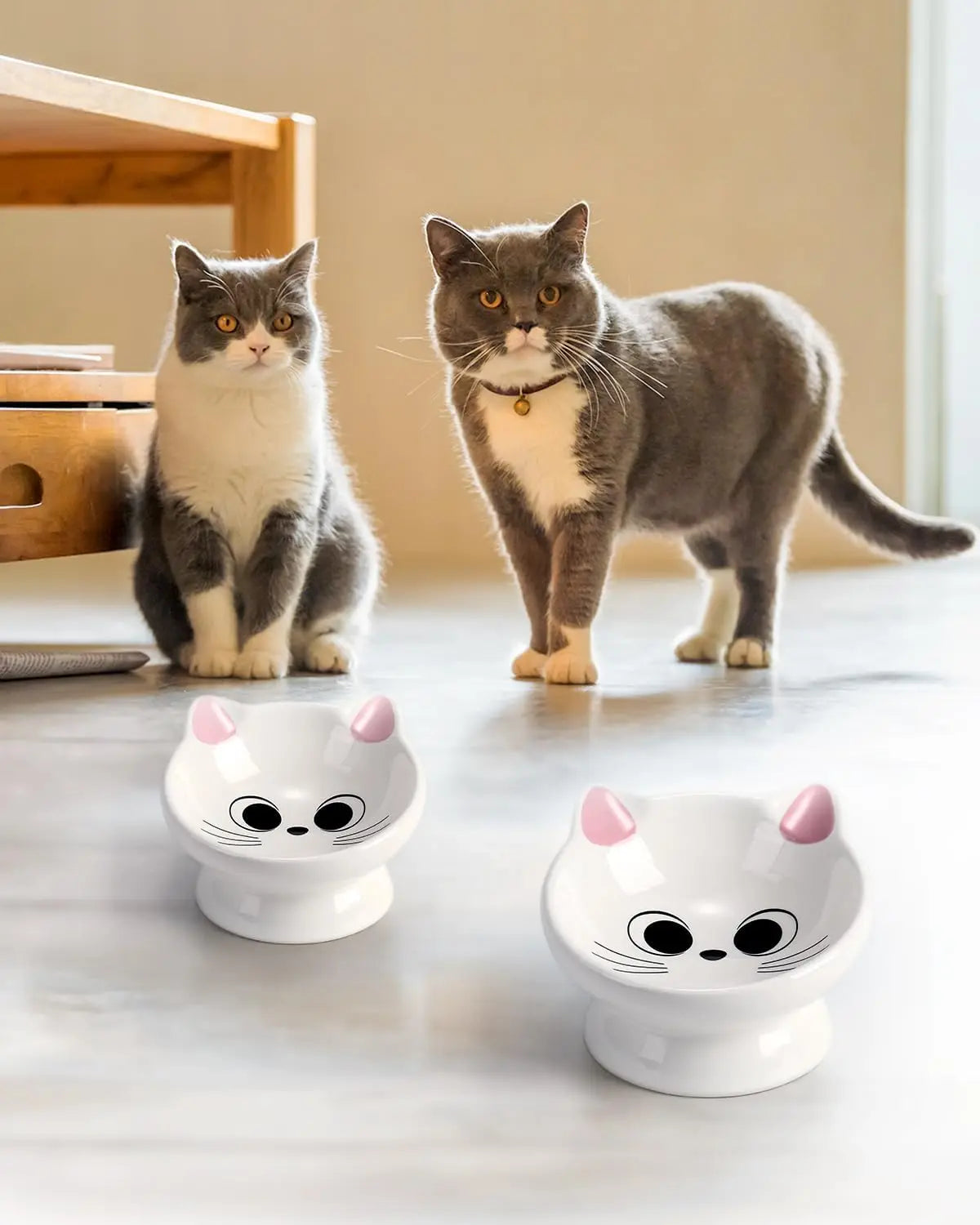 2-Piece Ceramic Raised Cat Food Bowl with 15° Tilt for Spine Health, Anti-Vomiting, Pink
