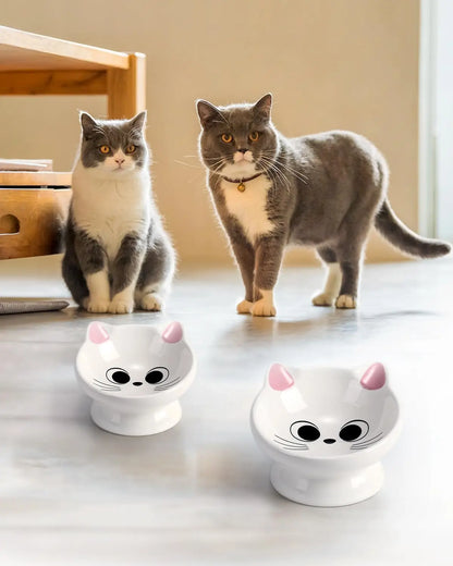 2-Piece Ceramic Raised Cat Food Bowl with 15° Tilt for Spine Health, Anti-Vomiting, Pink