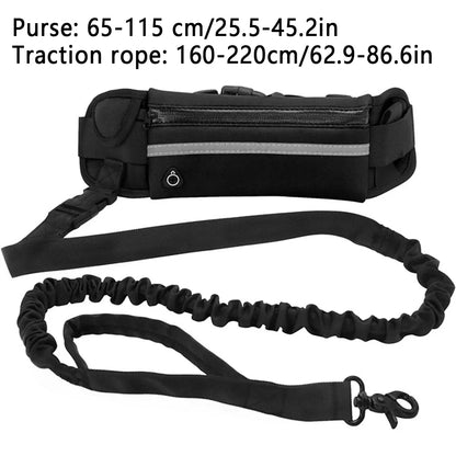 Dog Running Waist Leash