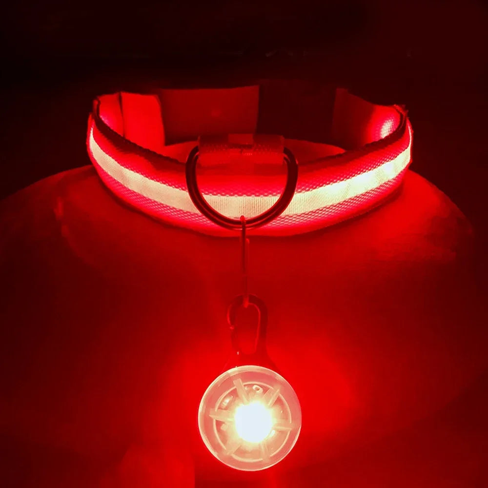 Usb Charging Glowing Dog Collar With Pendant Detachable , Luxury Led Light Bright For Small Dogs Night Safety Collar Wholesale