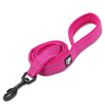 Dog Leash with Padded Handle Training