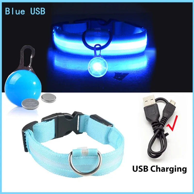Usb Charging Glowing Dog Collar With Pendant Detachable , Luxury Led Light Bright For Small Dogs Night Safety Collar Wholesale