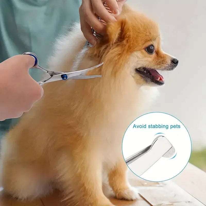 Ambidextrous Pet Safe Scissors, Stainless Steel Dog Grooming Shears with round Head for Precision Trimming