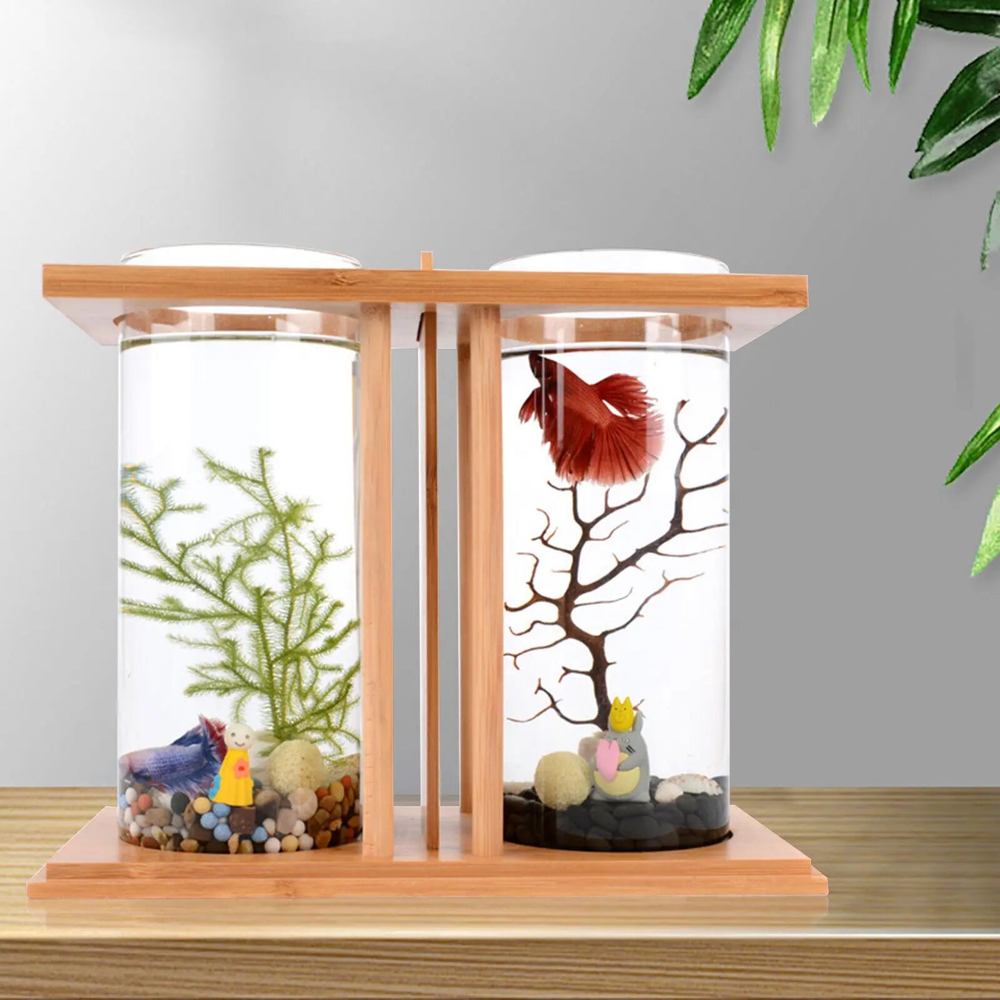 Glass Betta Fish Tank with LED Light, Bamboo Base, Mini Aquarium Set for Desktop Home Office Decoration, 2 Tanks