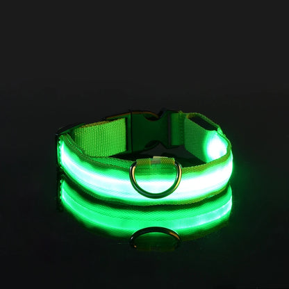Nylon LED Night Safety Flashing Dog Leash, Glow in The Dark Luminous Fluorescent Pet Collar for Dogs
