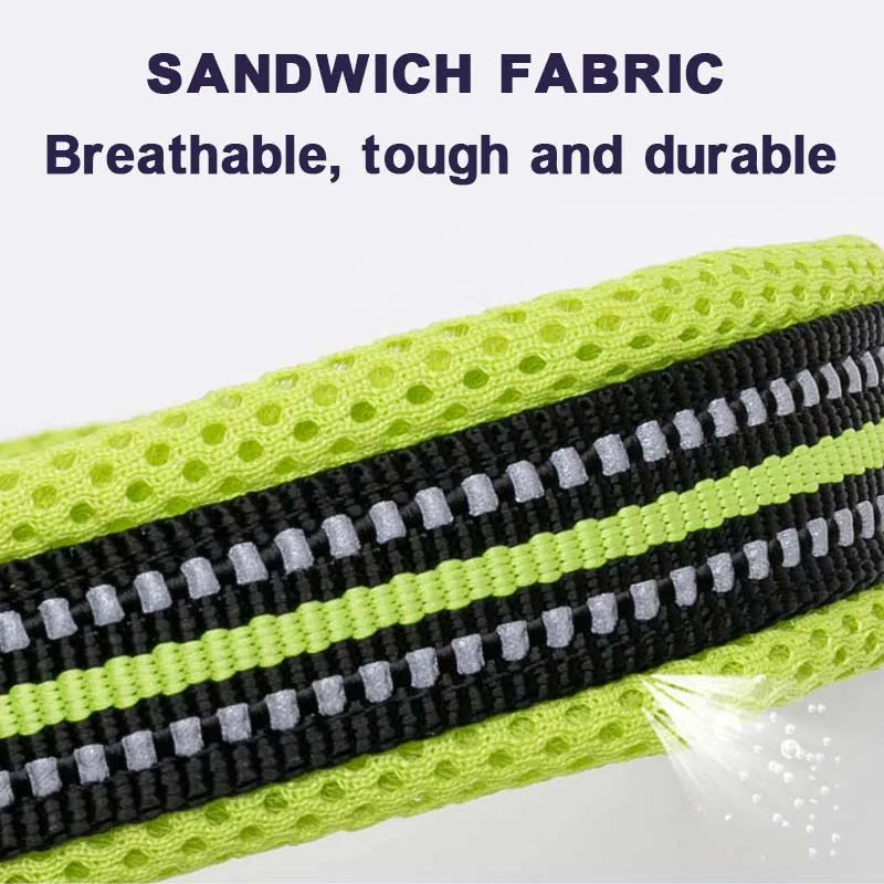Dog Walking Collar Comfort Padded with Buckle Nylon