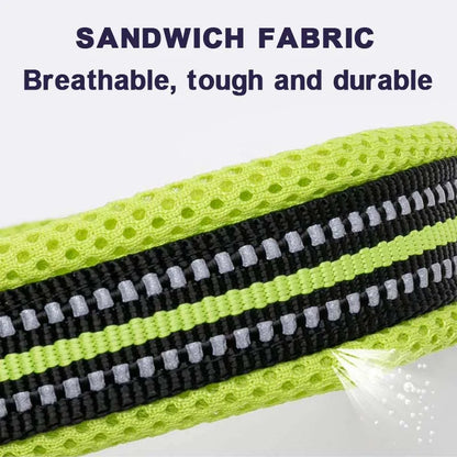 Dog Walking Collar Comfort Padded with Buckle Nylon