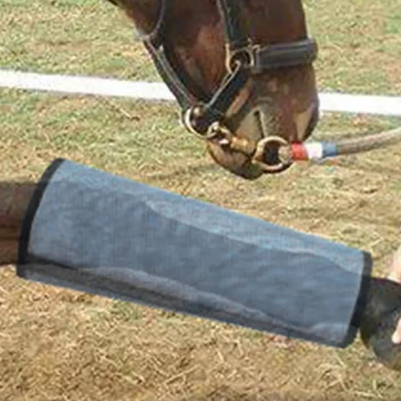 Horse Fly Leggings Reusable Horse Leggings