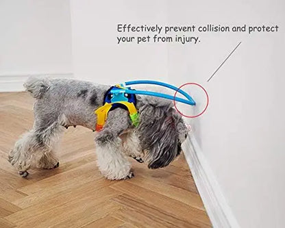 Protect your pet with Blind Dog Harness Vest – Safe Guide for Vision Loss & Collisions