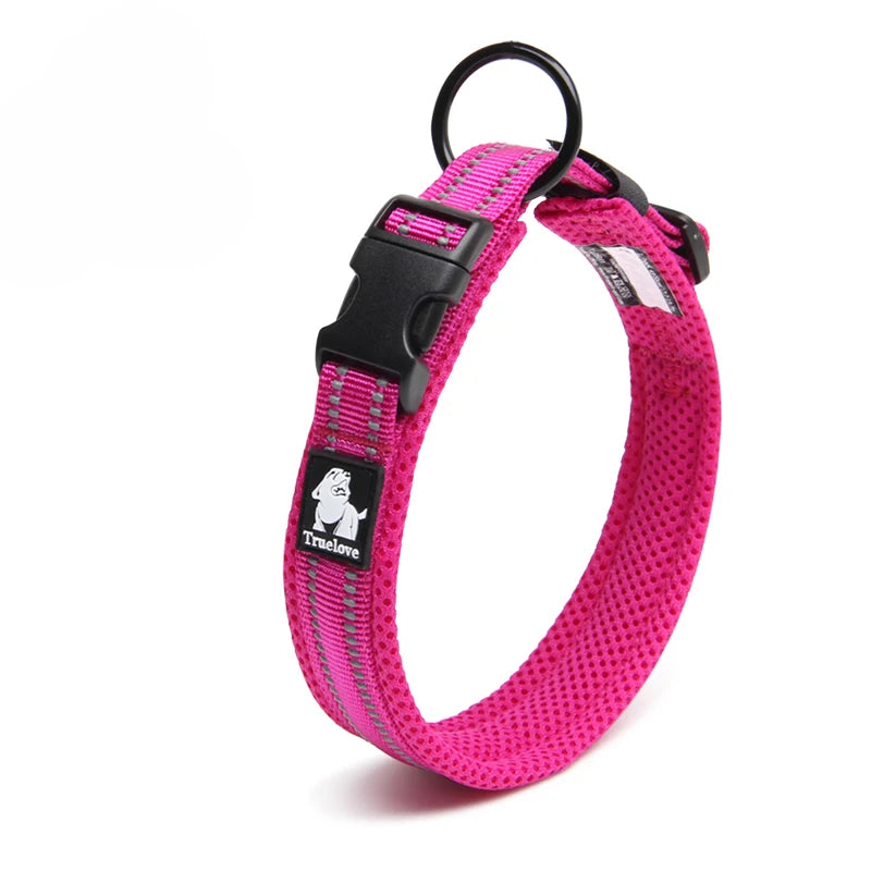 Dog Walking Collar Comfort Padded with Buckle Nylon