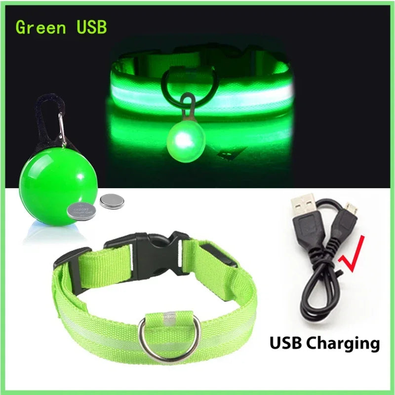 Usb Charging Glowing Dog Collar With Pendant Detachable , Luxury Led Light Bright For Small Dogs Night Safety Collar Wholesale