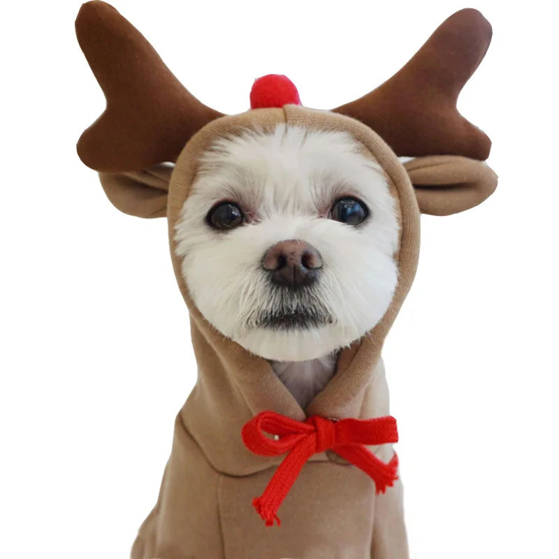 Dog Hoodies For Puppy