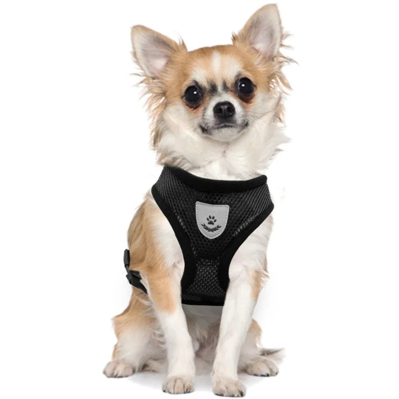 Cat and Dog Harness with Lead Leash, Adjustable Vest,  Polyester Mesh Breathable Harnesses, Reflective sti for Small Dogs and Cats