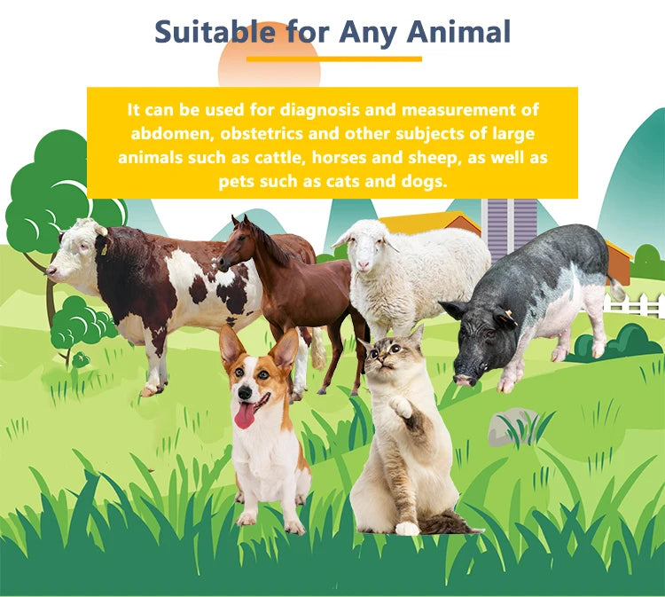 Handheld Vet Ultrasound Machine for Small Pet Dogs and Cats