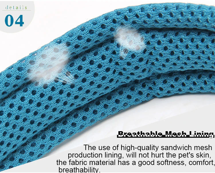 Dog Walking Collar Comfort Padded with Buckle Nylon