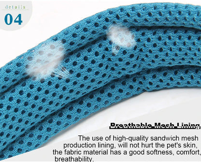 Dog Walking Collar Comfort Padded with Buckle Nylon