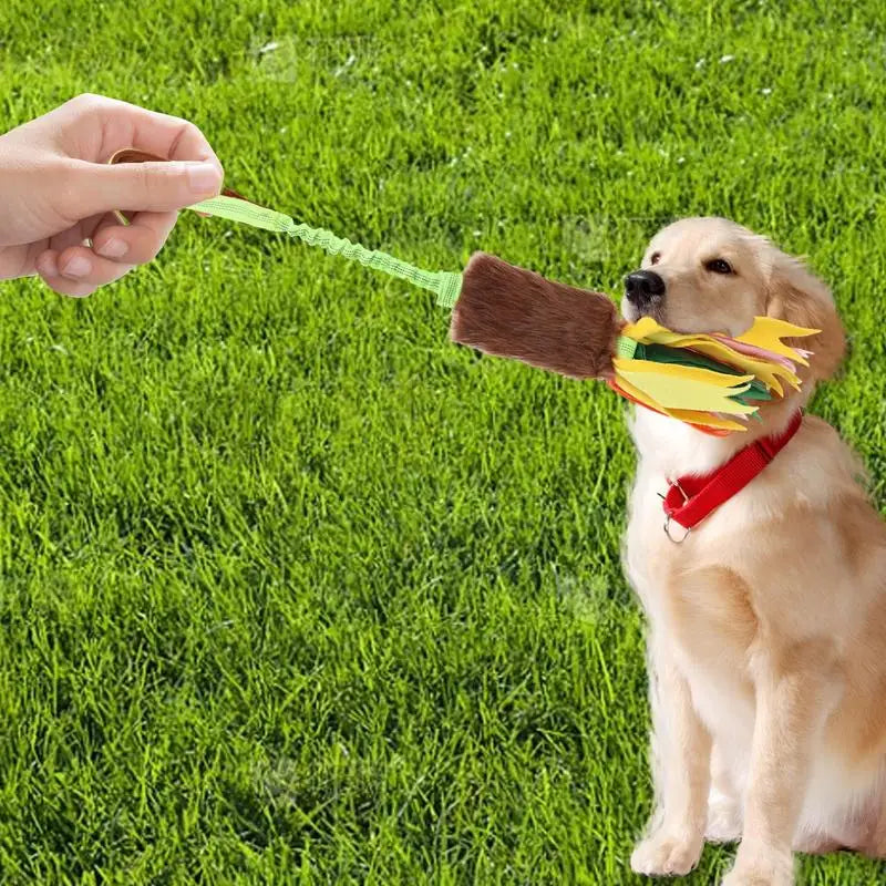 Dog Squeaky Toy Rope