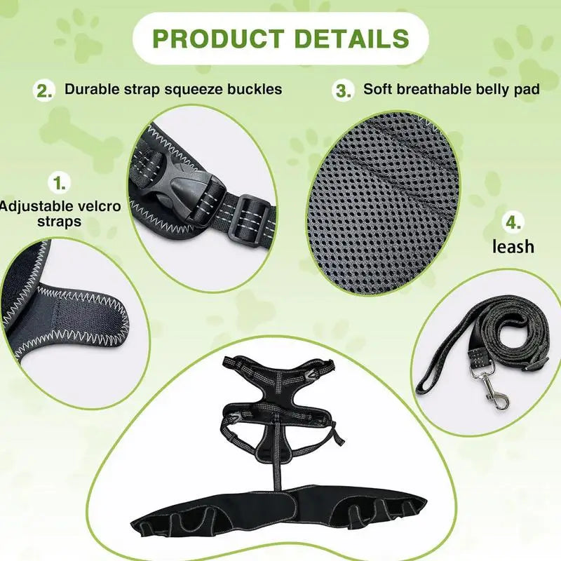 Orthopedic Hip Brace For Dogs