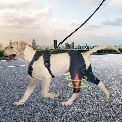 Dog Knee Brace
