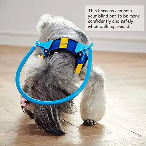 Protect your pet with Blind Dog Harness Vest – Safe Guide for Vision Loss & Collisions