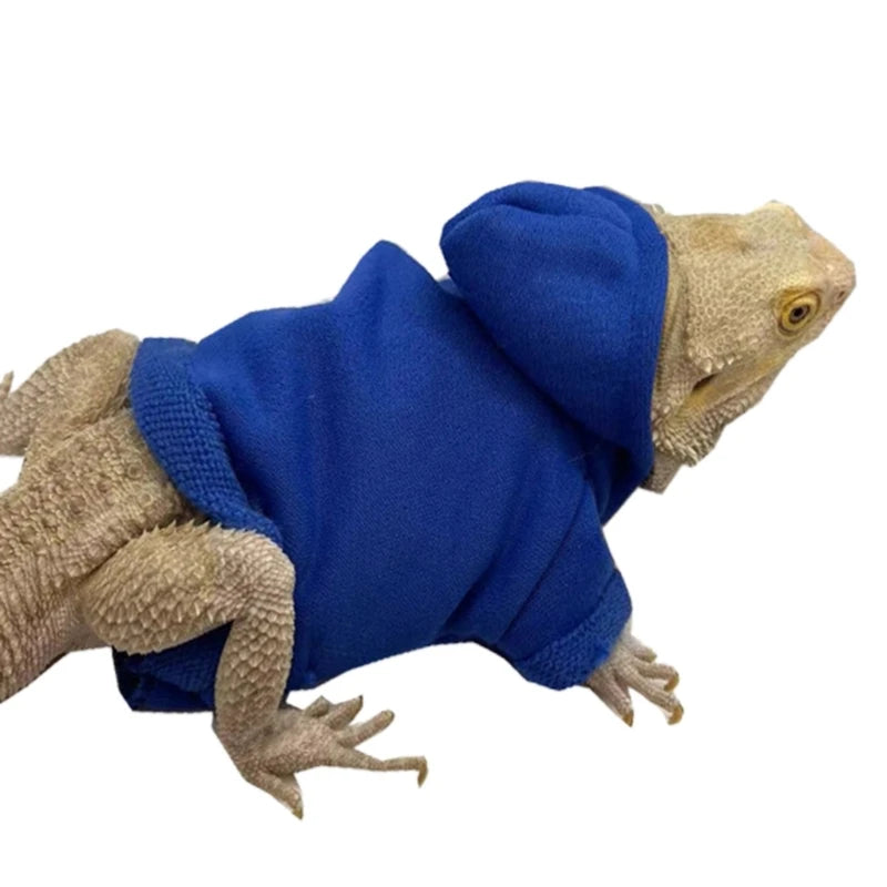 Bearded Dragon Sweater Jackets, Warm Coat Hoodies, Soft Touching Skin