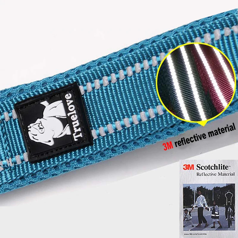Dog Leash with Padded Handle Training